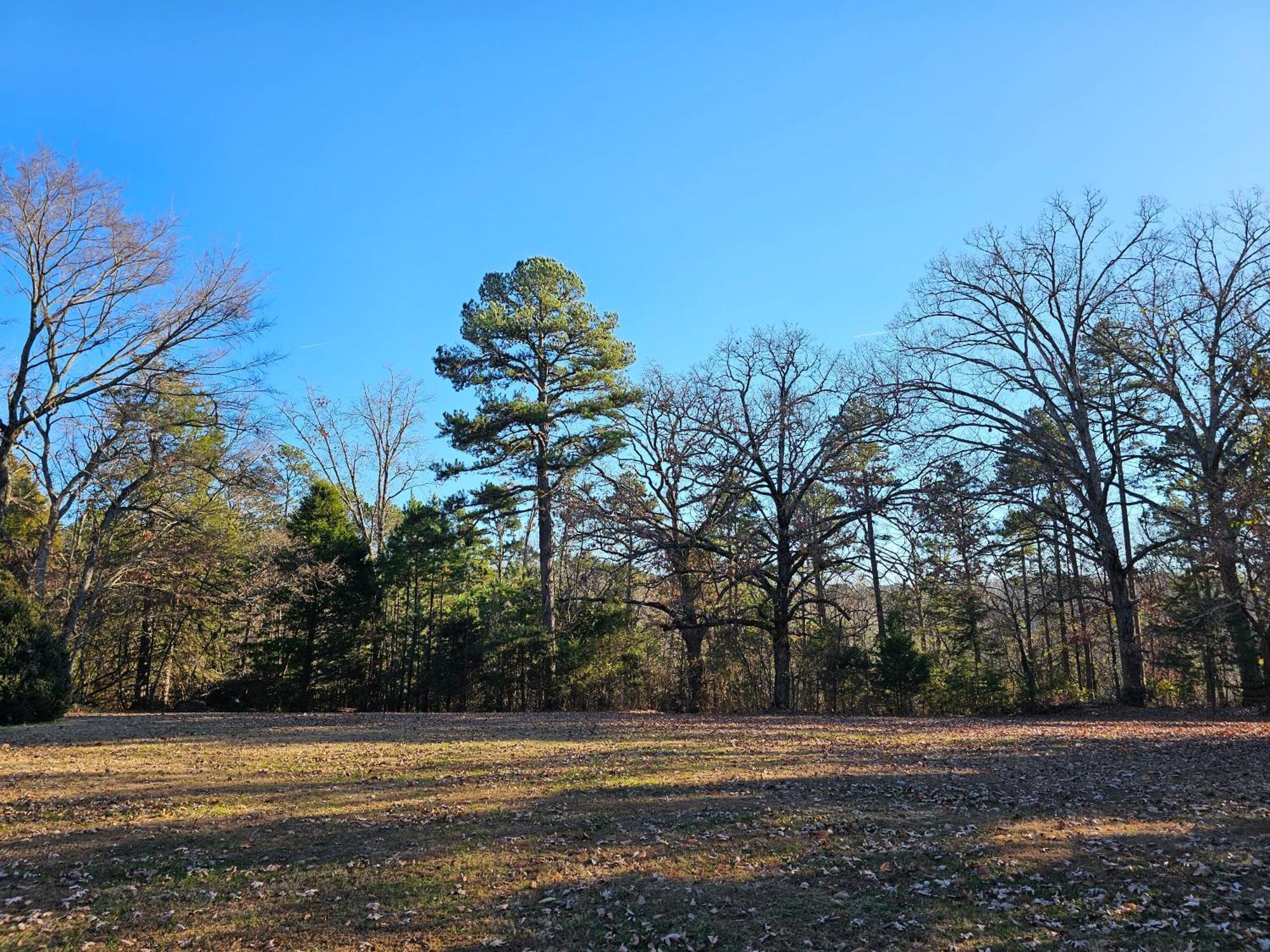 5 Min To Beaver Lake-King Bed-Fire Pit-Jetted Tub #4 Eureka Springs Exterior foto
